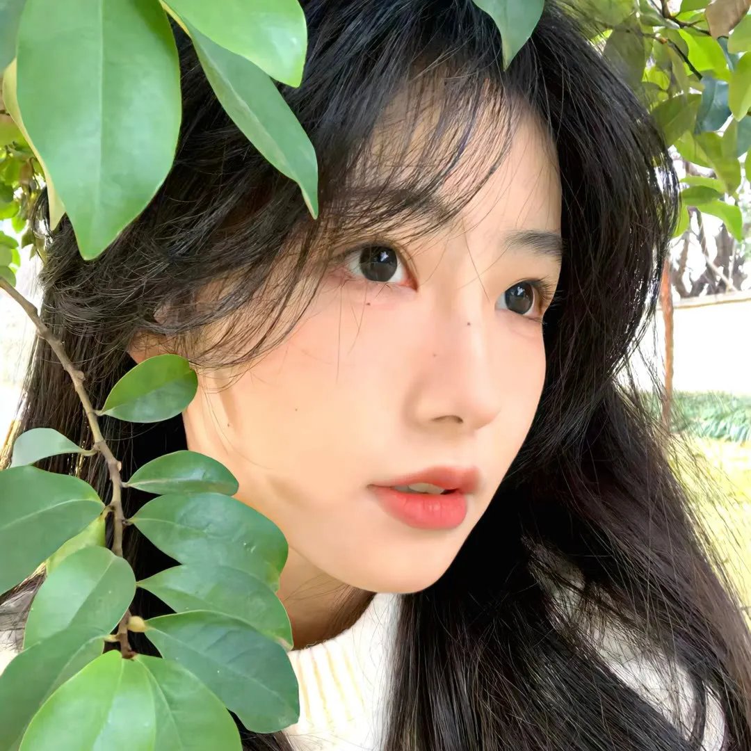 真爱的风采